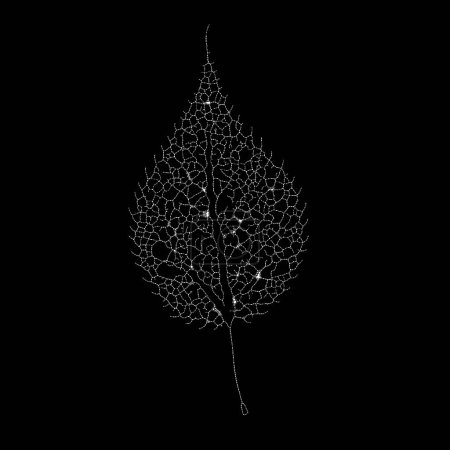 Photo for Dead Leaves Catalogue series. Stippling art of a skeleton leaf on the subject of natural forms, fragility, minimalism and design. - Royalty Free Image