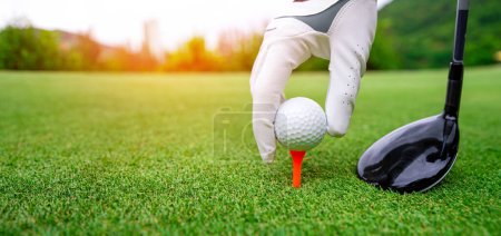 Téléchargez les photos : Fermez la balle de golf sur le terrain d'herbe verte. club de golf sportif - en image libre de droit