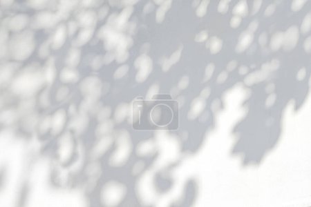 Photo for Tree shadow and leaf branch with light bokeh background. Nature leaves tropical jungle light and dark shadow dappled on white concrete wall texture for background wallpaper, overlay effect and desig - Royalty Free Image
