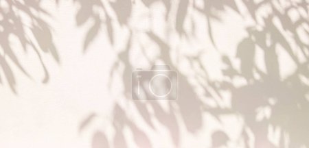 Photo for Light and shadow pink beige pastel abstract blur background. Natural leaves shadows and sunshine diagonal refraction on white wall texture. Shadow overlay effect foliage mockup banner graphic layou - Royalty Free Image