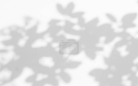 Photo for Shadow and sunshine with light of leaves reflection on wall. Jungle gray darkness leaf plants shadows shade and lighting on wall background, Natural shadows overlay effect foliage mockup wallpape - Royalty Free Image