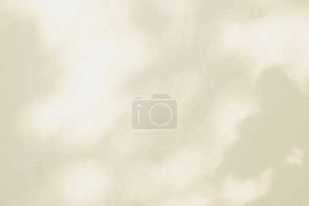 Photo for Light and shadow pink beige pastel abstract blur background. Natural leaves shadows and sunshine diagonal refraction on white wall texture. Shadow overlay effect foliage mockup banner graphic layou - Royalty Free Image