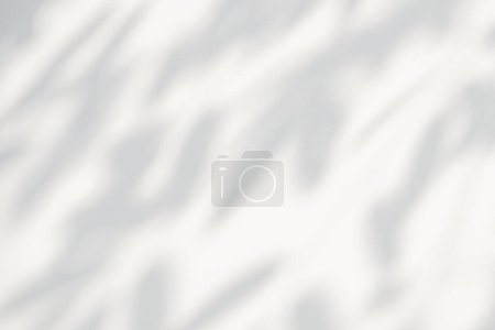 Photo for Abstract leaf shadow and light blurred background. Natural tropical plant leaves tree branch shadows sunlight on white wall texture for shadows overlay effect foliage mockup wallpaper and desig - Royalty Free Image