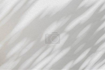 Photo for Abstract shadow and light blurred background with light bokeh. Natural gray shadows of leaves tree branch on white wall. Shadow overlay effect for foliage mockup, banner graphic layou - Royalty Free Image
