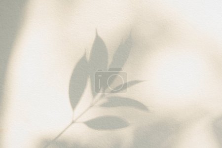 Photo for Leaf shadow and light on wall background. Nature tropical leaves tree branch plant shade sunlight on white wall for wallpaper, shadow overlay effect foliage mockup, graphic layout, wallpaper, desig - Royalty Free Image