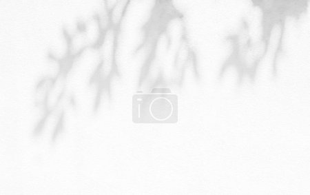 Photo for Leaf shadow and light on wall grey background. Nature tropical leaves plant tree branch shade sunshine . Sunlight on white wall texture for background wallpaper, shadows overlay effect foliage mocku - Royalty Free Image