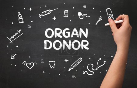 Photo for Hand drawing ORGAN DONOR inscription with white chalk on blackboard, medical concept - Royalty Free Image