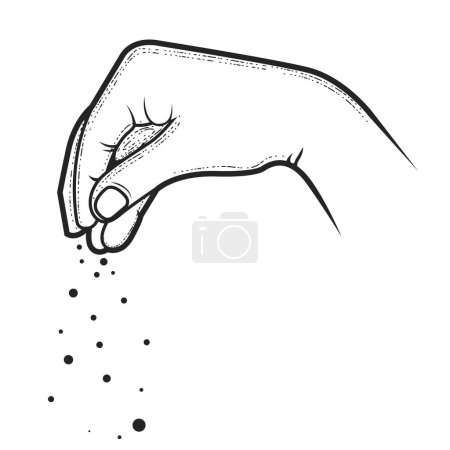Illustration for Hand of chief-cook powdering a dish with condiment, pinch of salt, spice or seasoning, pinched fingers, vector - Royalty Free Image