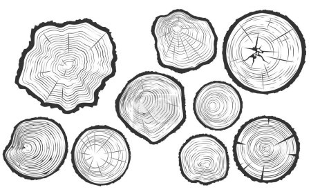 Baumstammschnitte mit Rissen, Sägeset, Holzstruktur, Segment der Baumwachstumsringe, Vektor