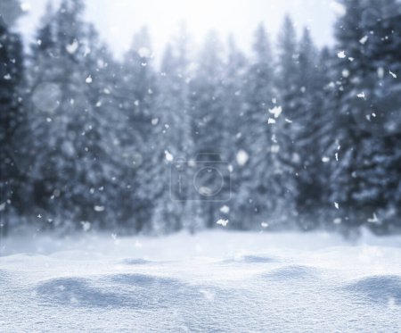 Photo for Empty defocused winter background with copy space - Royalty Free Image