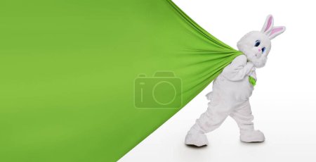 Téléchargez les photos : Cute easter bunny pulling huge gift bag or empty banner isolated on white background  with copy space - en image libre de droit
