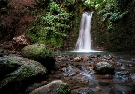 Téléchargez les photos : Belle cascade cachée dans la forêt des Açores - en image libre de droit