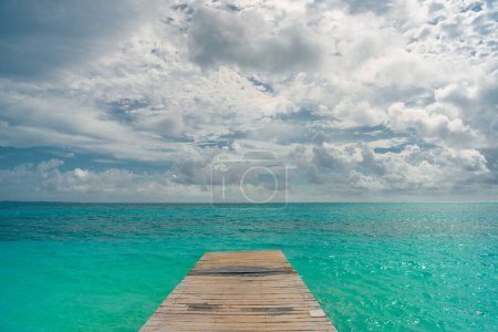 Photo for Seagull on a pier overlooking the Caribbean Sea. Mexico. - Royalty Free Image