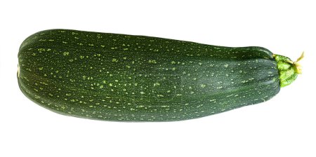 Photo for Vegetable marrow zucchini isolated on white background. Photography of one fresh squash. Theme of zucchini, organic food, nature. - Royalty Free Image