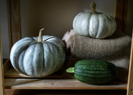 Photo for Vegetable marrow and pumpkins on wooden shelves at home, still life of organic food. Zucchini and white pumpkins in rustic interior. Harvest, thanksgiving, nature, farm and squash concept. - Royalty Free Image