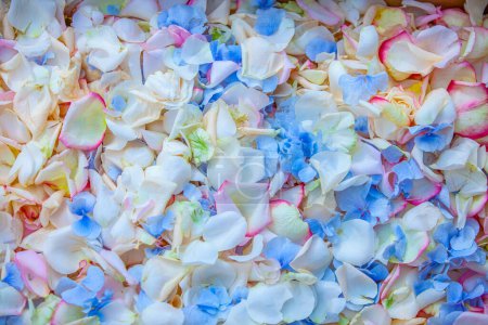 Photo for Flower petal wedding confetti backdrop texture - Royalty Free Image