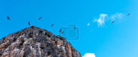 Foto de Montaña con bandada voladora de buitre - Imagen libre de derechos