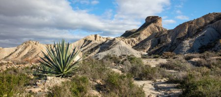 Foto de Vista panorámica del desierto de Tabernas en España - Imagen libre de derechos