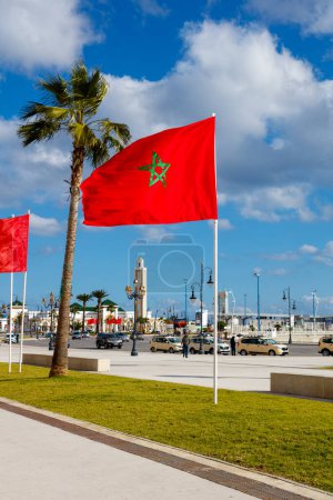 Foto de Bandera de Marruecos y palmera en Tanger - Imagen libre de derechos