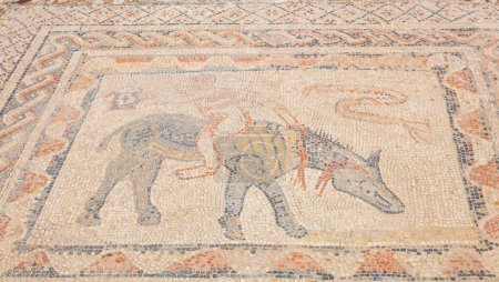 Téléchargez les photos : Beautiful mosaic in Volubilis site,  Morocco - en image libre de droit