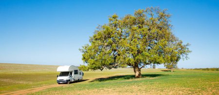 Photo for Motorhome and big green tree - Royalty Free Image
