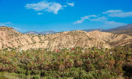 Photo for Beautiful landscape in Morocco,  Paradise valley - Royalty Free Image