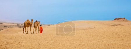 Foto de Dos camellos en dunas del desierto Marruecos - Imagen libre de derechos