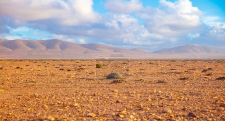 Photo for Panorama desertic landscape in Morocco - Royalty Free Image