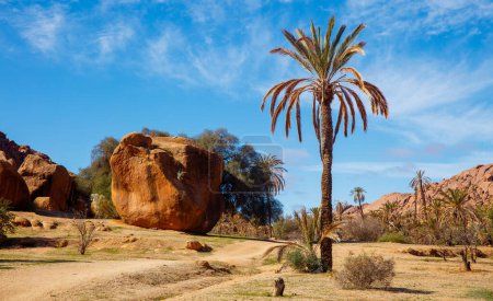 Téléchargez les photos : Formation rocheuse et palmier Tafraoute, Maroc - en image libre de droit