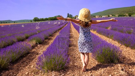 Téléchargez les photos : Femme touriste en France, champ de lavande en Provence - en image libre de droit