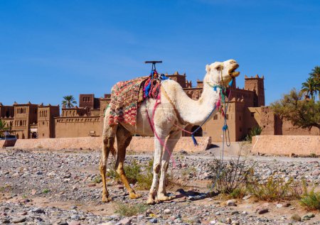 Foto de Kasbah en Skoura cerca de Ouarzazate en Marruecos - Imagen libre de derechos