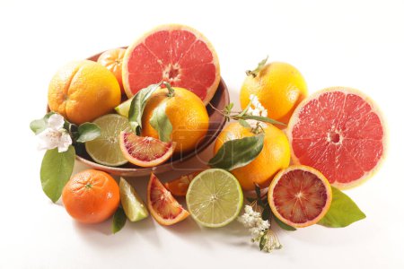 Photo for Various citrus fruits (orange, grapefruit, lemon, mandarine) isolated on white background - Royalty Free Image