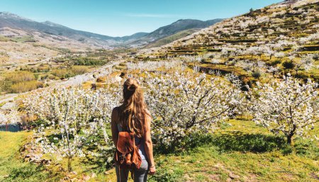 Femme regardant Jerte vale, Estramadura en Espagne au printemps, fleur de cerisier