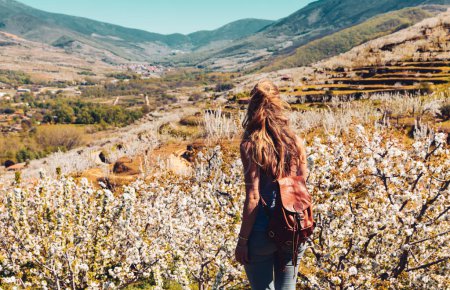 Foto de Hermoso panorama del valle de Jerte con flor de cerezo en España- Estramedura - Imagen libre de derechos