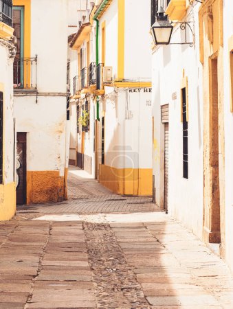 Photo for Typical street in Cordoba, Spain, Andalusia - Royalty Free Image