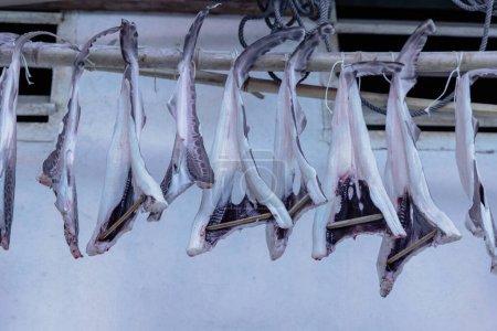 Téléchargez les photos : Séchage du poisson en Albacete, Espagne - en image libre de droit