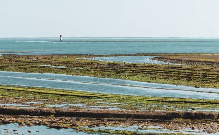 Téléchargez les photos : Océan Atlantique à marée basse Charente Maritime, Gironde en France - en image libre de droit