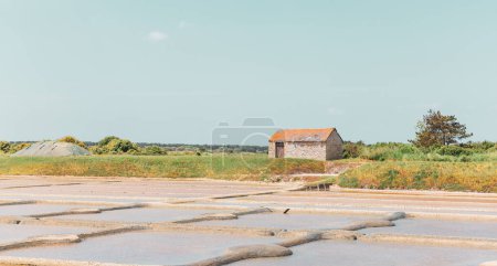 Photo for Beautiful salt marsh in Guerande,  Saline, Loire Atlantic, Pays de la loire, - Royalty Free Image