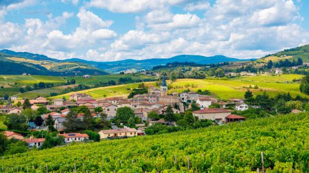 Téléchargez les photos : Vignoble et village en France - en image libre de droit
