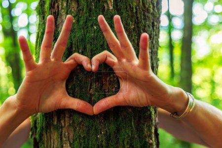 Téléchargez les photos : Les mains de la femme montrent un signe de cœur et d'amour pour la nature- écologie, protection de la nature, concept de l'environnement - en image libre de droit