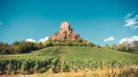 Téléchargez les photos : Solutre Rocher avec vignobles, Bourgogne en France - en image libre de droit