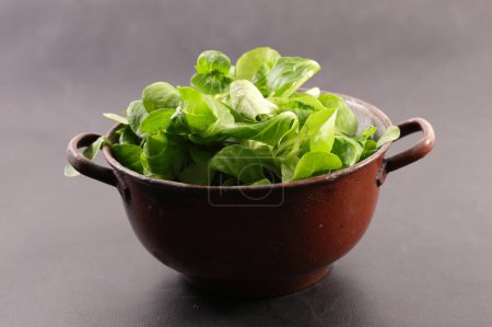 Photo for Fresh lambs lettuce in bowl - Royalty Free Image