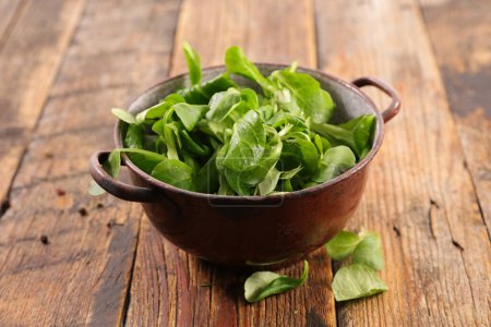 Photo for Fresh lambs lettuce in bowl - Royalty Free Image