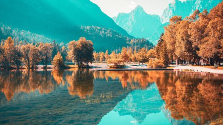 Téléchargez les photos : Forêt d'automne pittoresque au lac cristallin en Slovénie (lac Jasna) - voyage, tourisme d'excursion, vacances - en image libre de droit