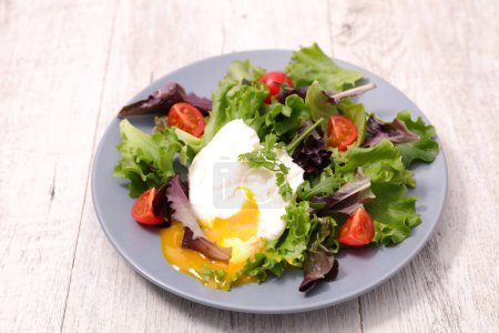 Photo for Plate of lettuce salad and poached egg - Royalty Free Image