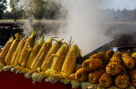 Photo for Turkish street vendor grilling corn on the cob - Royalty Free Image