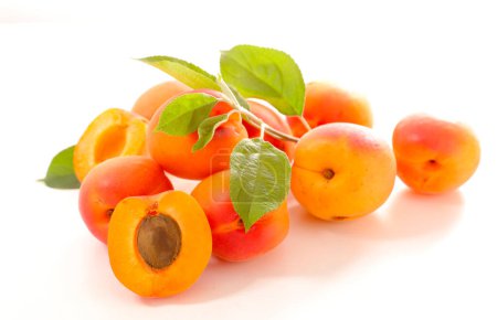Téléchargez les photos : Abricot frais et feuille sur fond blanc - en image libre de droit