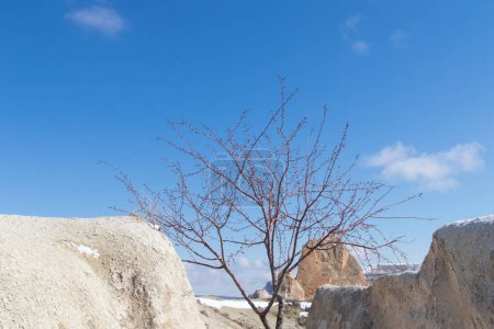 Téléchargez les photos : Rochers de Cappadoce au ciel bleu - en image libre de droit