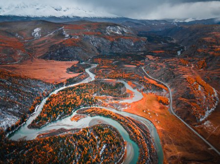 Téléchargez les photos : Rivière Chuya avec des arbres jaunes d'automne dans les montagnes de l'Altaï, Sibérie, Russie. Vue aérienne sur drone. Paysage d'automne au coucher du soleil - en image libre de droit