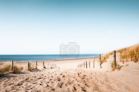 Téléchargez les photos : Dunes de sable sur la plage de Noordwijk, Pays-Bas. Beau paysage marin au coucher du soleil. Côte de la mer du Nord - en image libre de droit